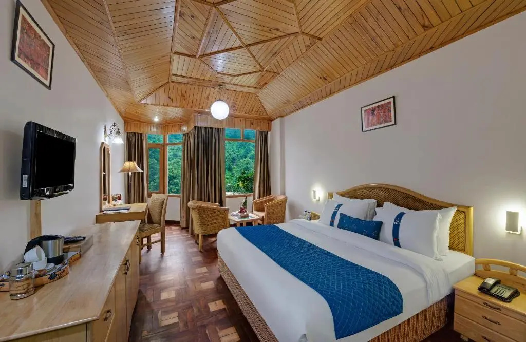 Deluxe Double room with mountain view (full double bed)