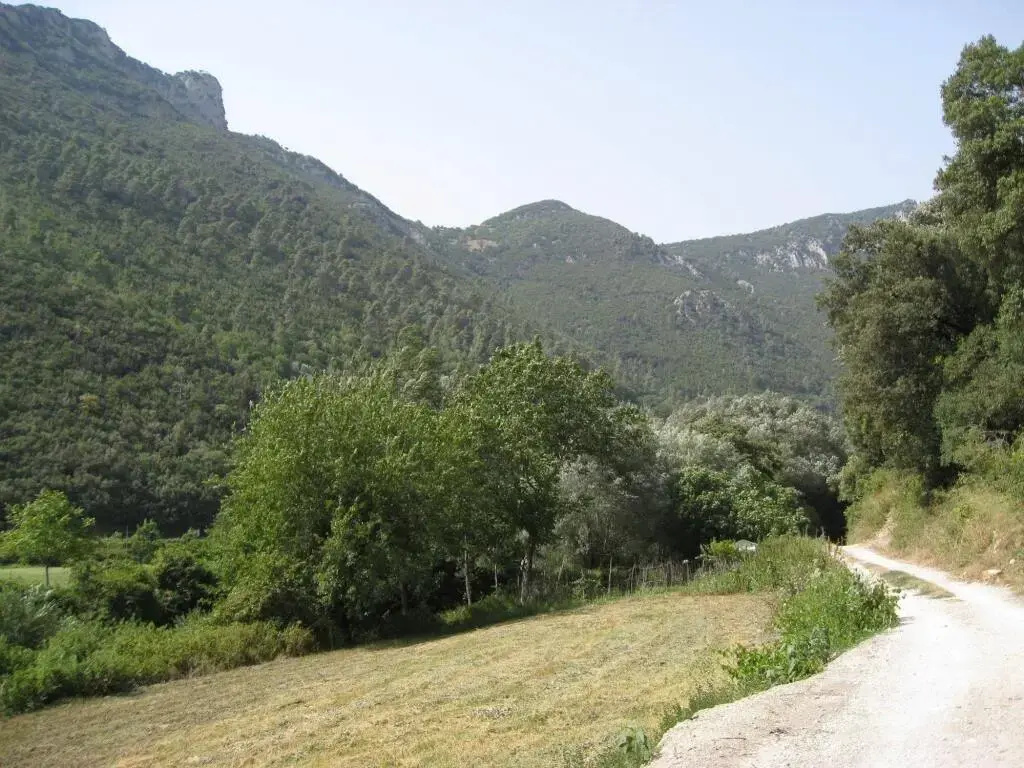 image url