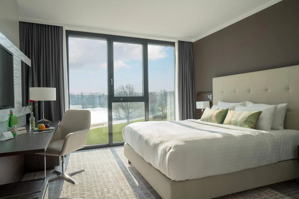 Standard Double room with lake view full double bed