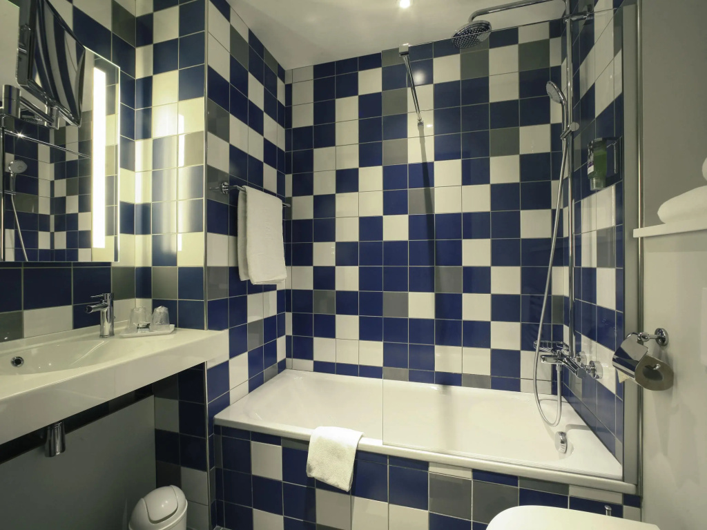 Hôtel Mercure Castres L'Occitan - Général