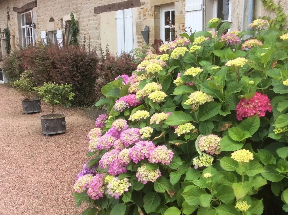 Domaine de la vallée