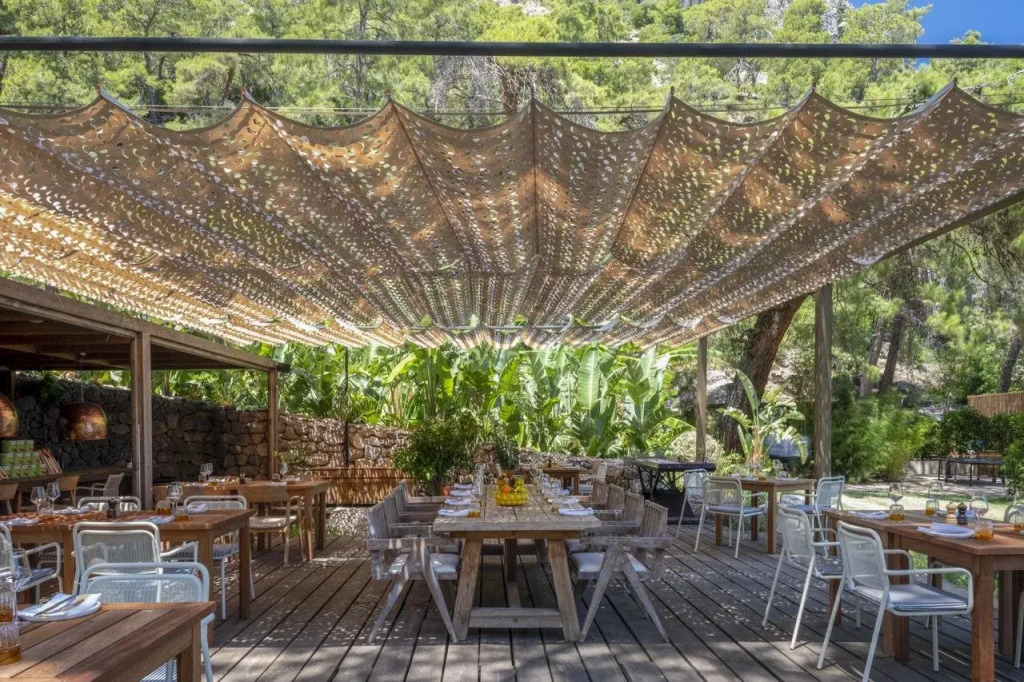 Yazz Collective image General