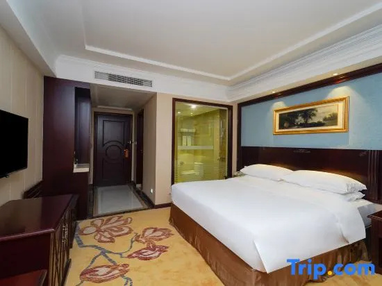 Vienna Hotel Shanghai Puong Jinqiao Park - Chambres