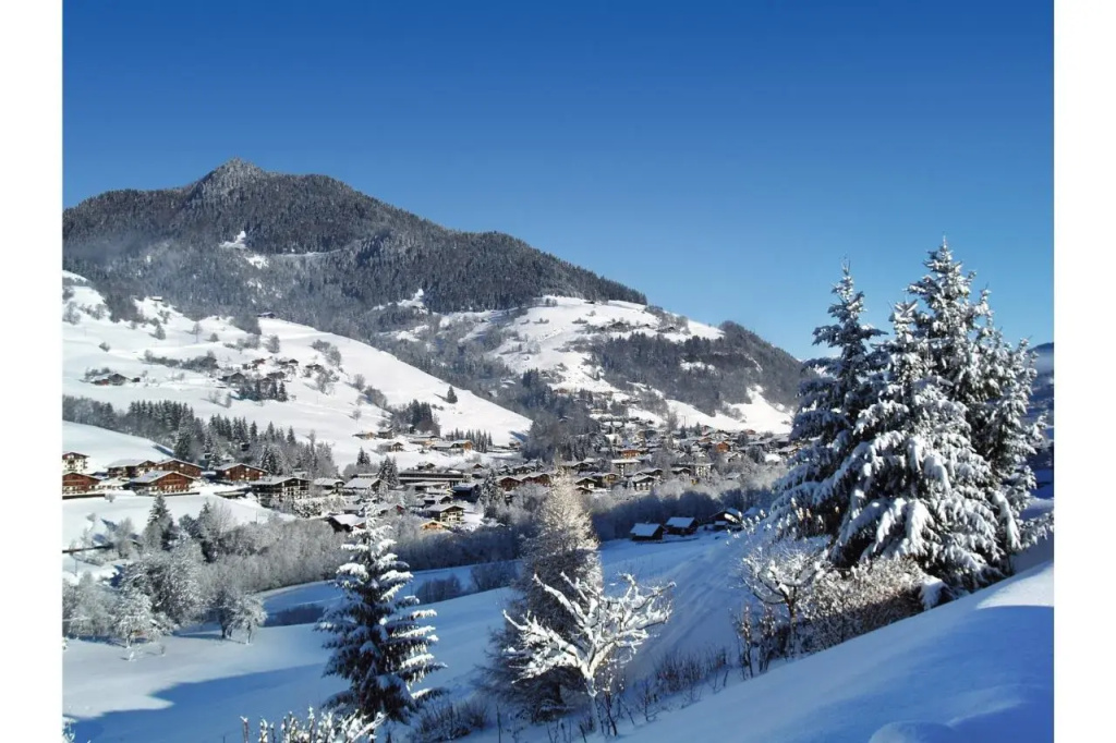 Belambra Clubs Praz-sur-Arly - L'Alisier - Général