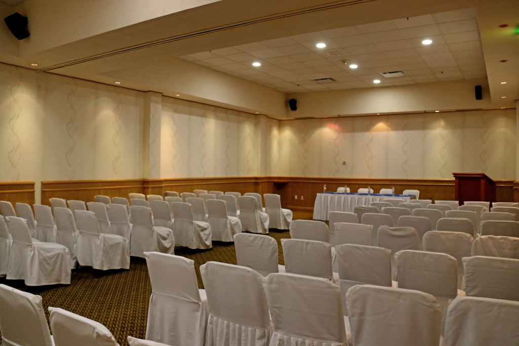 Holiday Inn La Piedad by IHG - Général