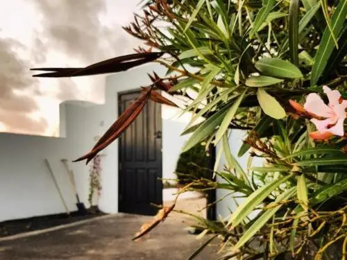 B&B La Mimosa