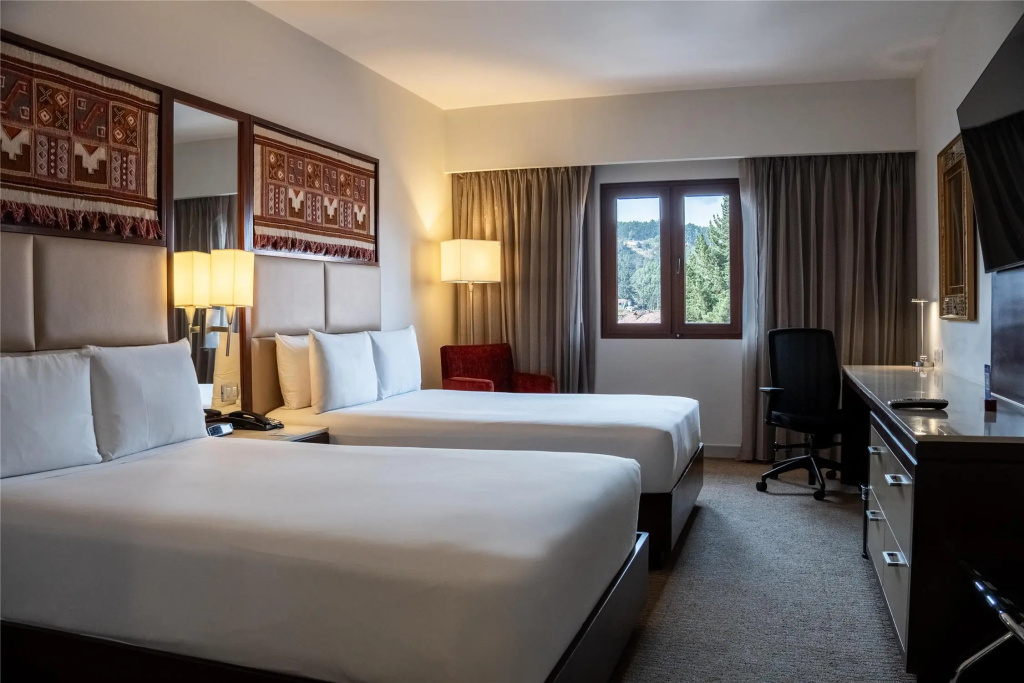 Hilton Garden Inn Cusco - Général