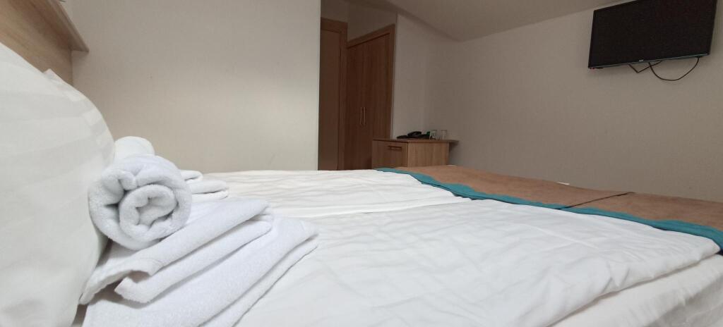 Двухместный номер Standard Мансарда двуспальная кровать в Летучая мышь