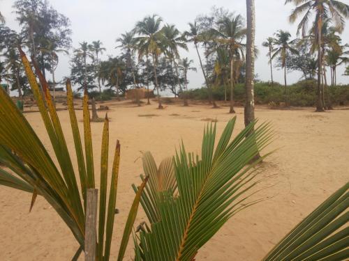 Ivon Guest House, Arambol Beach