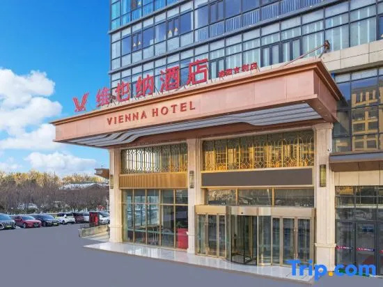 Viena Hotel (Luoyang Meng Jin Store)