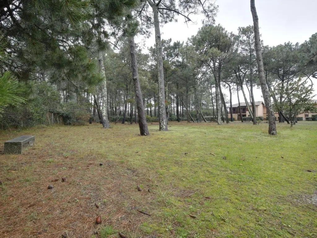 Maison Biscarrosse Plage, 3 pièces, 6 personnes - FR-1-521-43