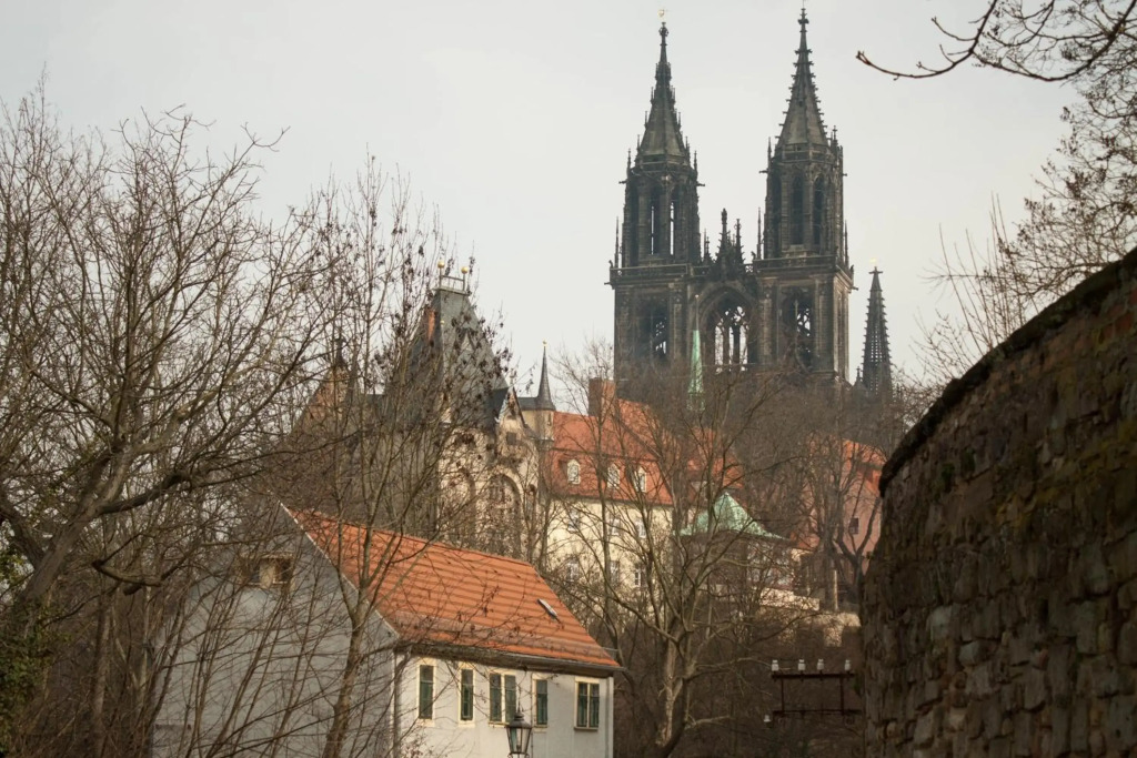 Image 13
