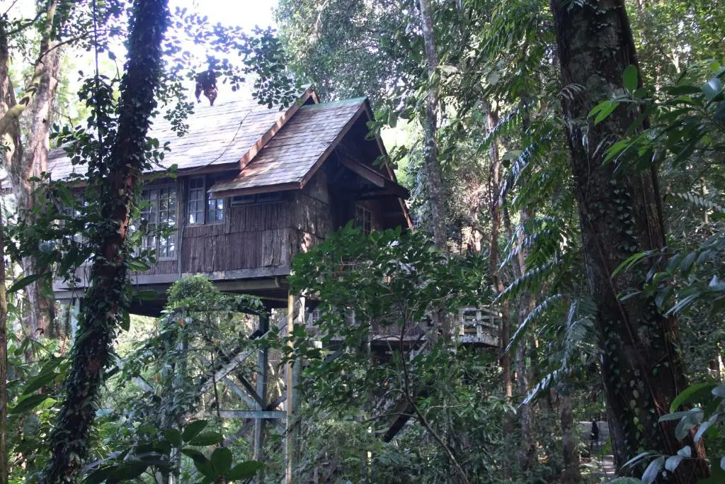 Permai Rainforest Resort