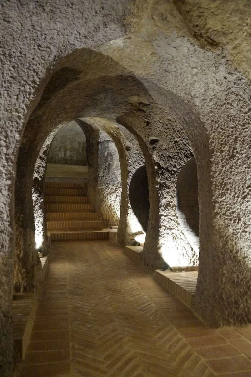Casas de Valois