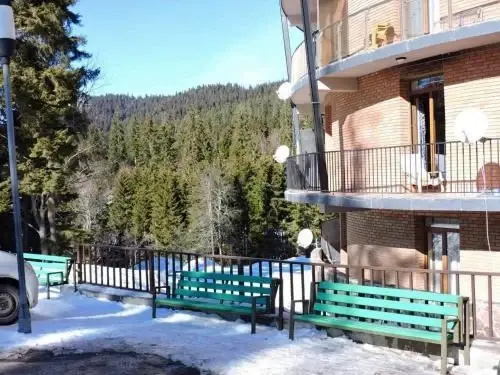 Rest House In Bakuriani