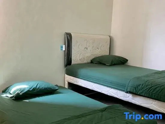 Economy Double room (twin beds)