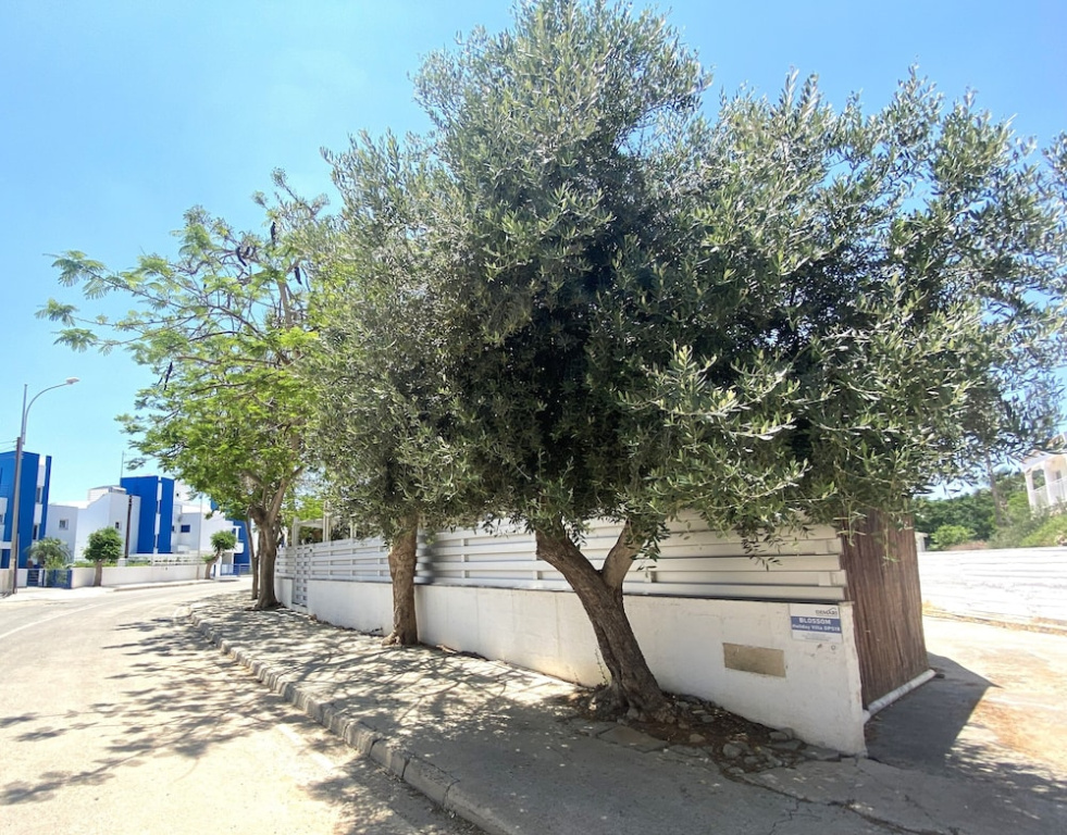 Blossom Holiday Villa DPS18