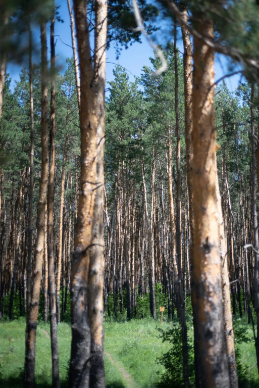 Студия в Арслан