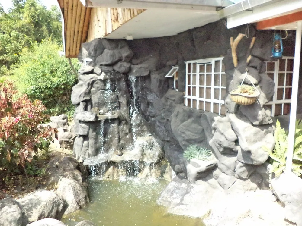 Hotel photo 19