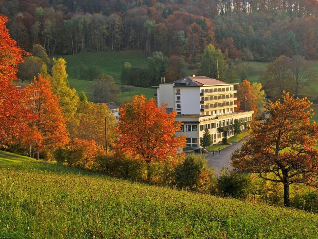 Bad Ramsach Quellhotel - Général