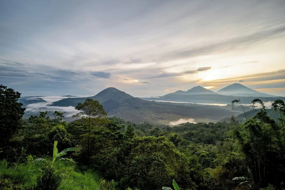 Tegal Sari Cabin Kintamani