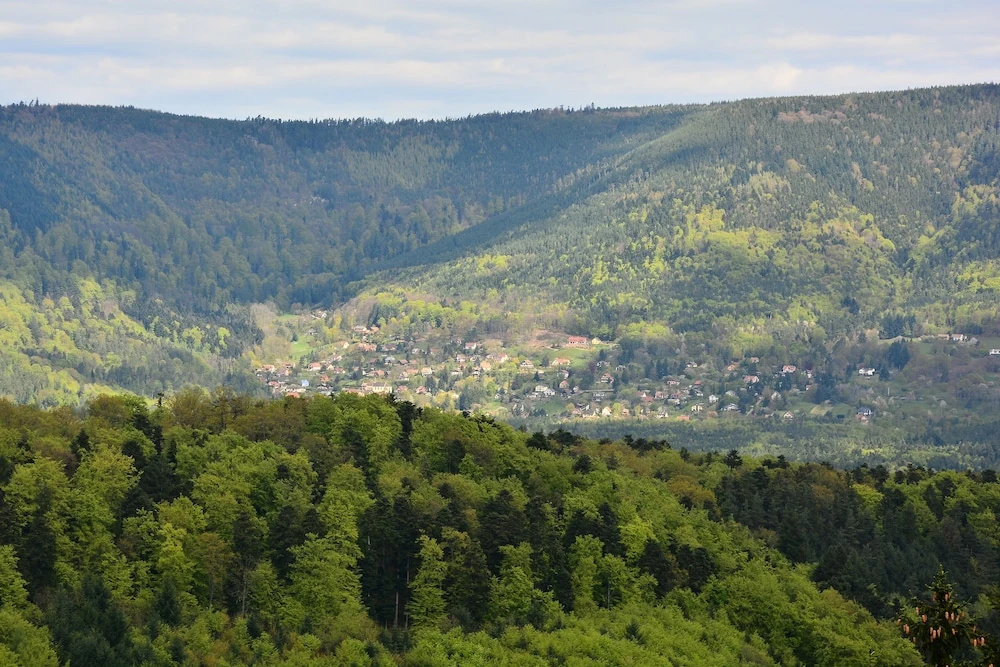 Logis du Haut-Koenigsbourg - Général