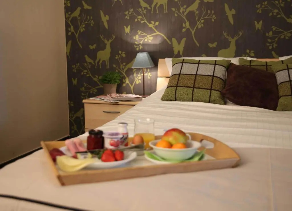 Deluxe Double room (full double bed)