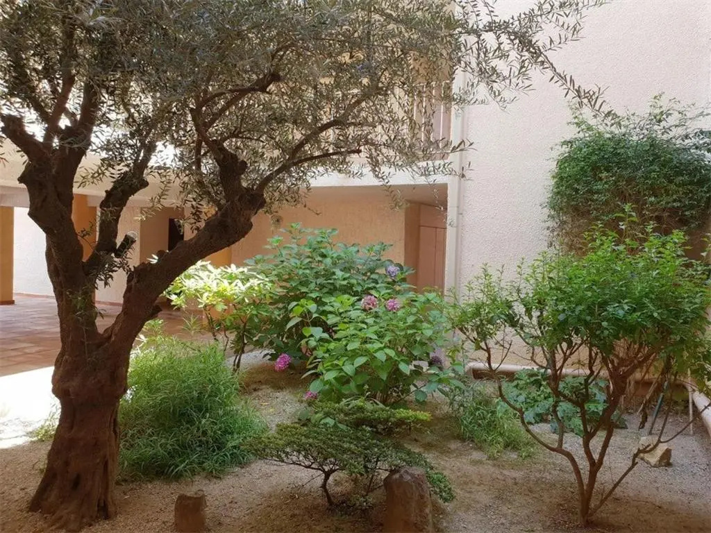 Appartement Argelès-sur-Mer, 2 pièces, 4 personnes - FR-1-388-88