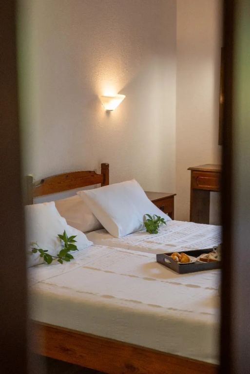 Standard Double room with garden view (full double bed)