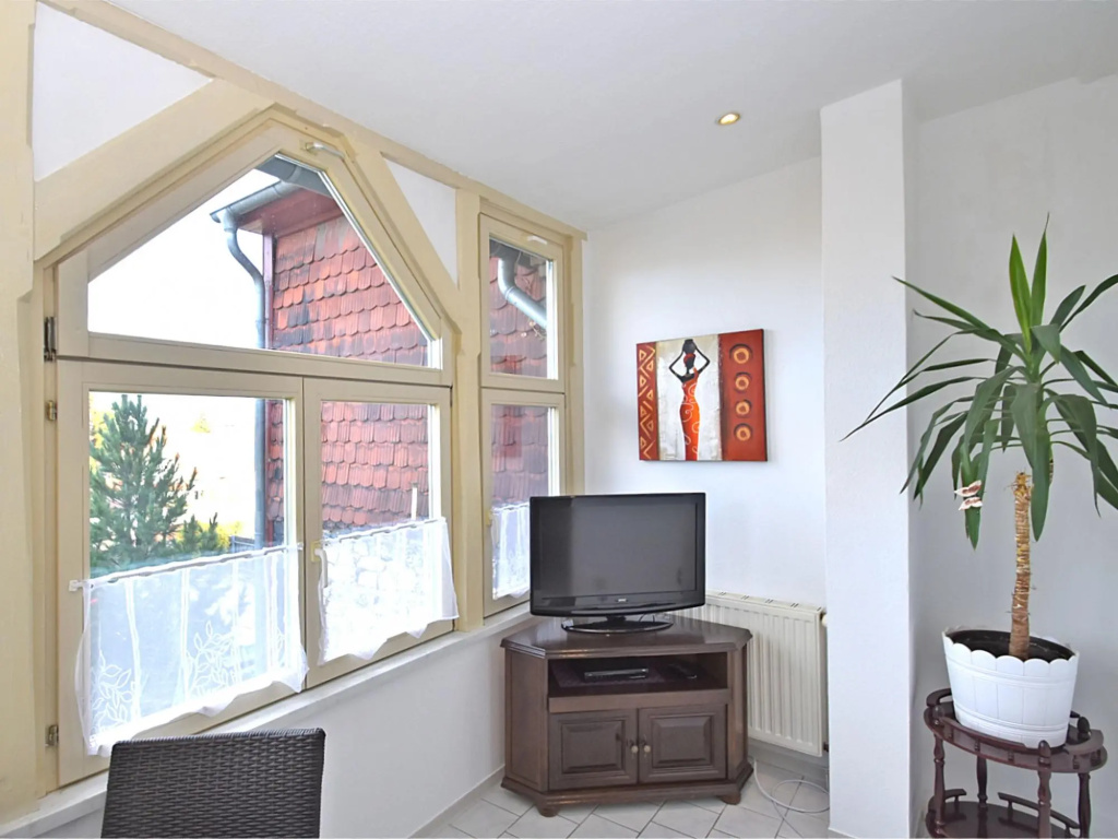 Spacious Apartment in Ballenstedt Harz near Lake - фото 4