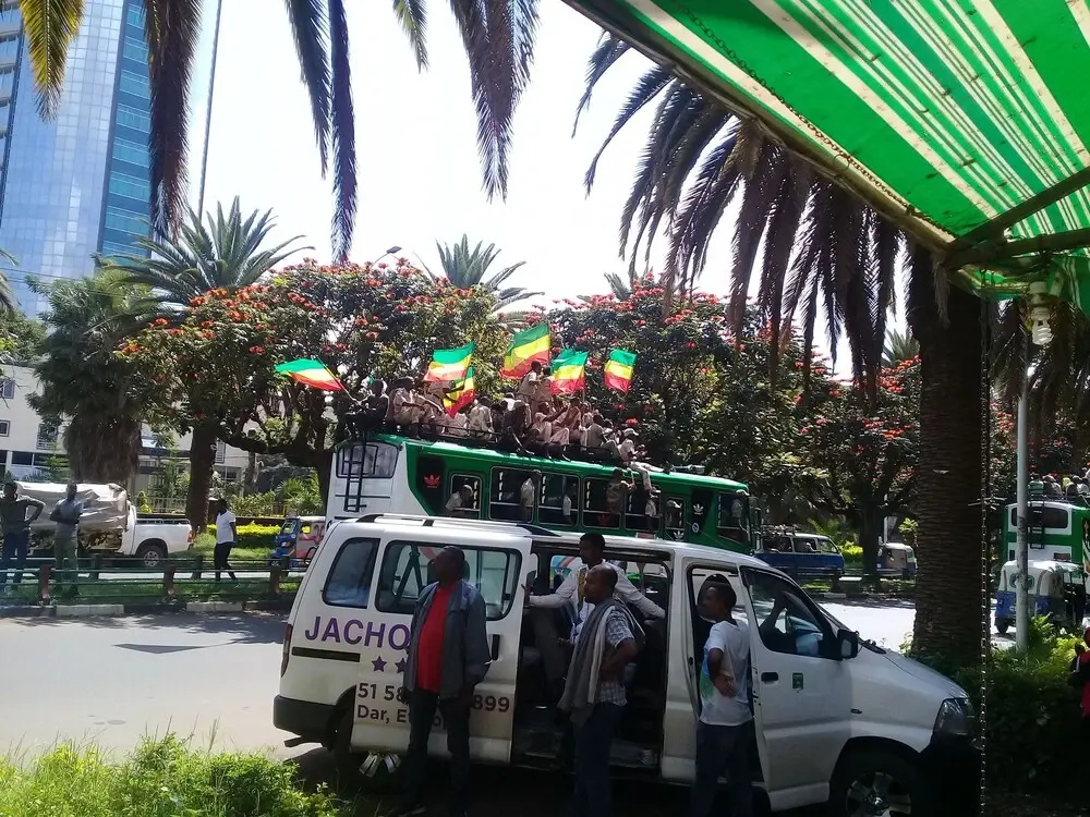 Jacaranda Hotel - Général