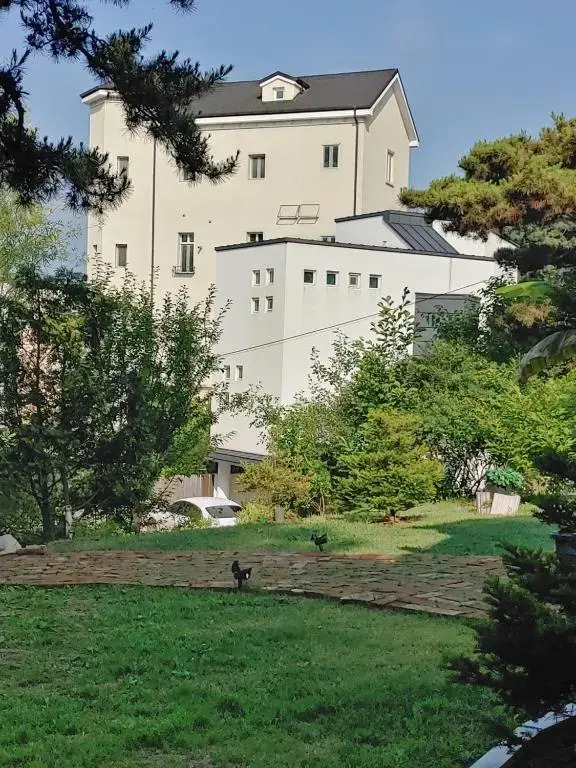 Image 16