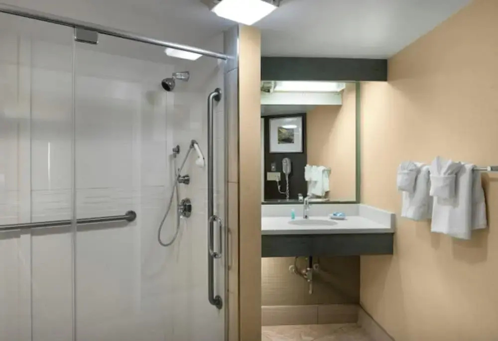 1 Bedroom Double Suite with ocean view (full double bed)
