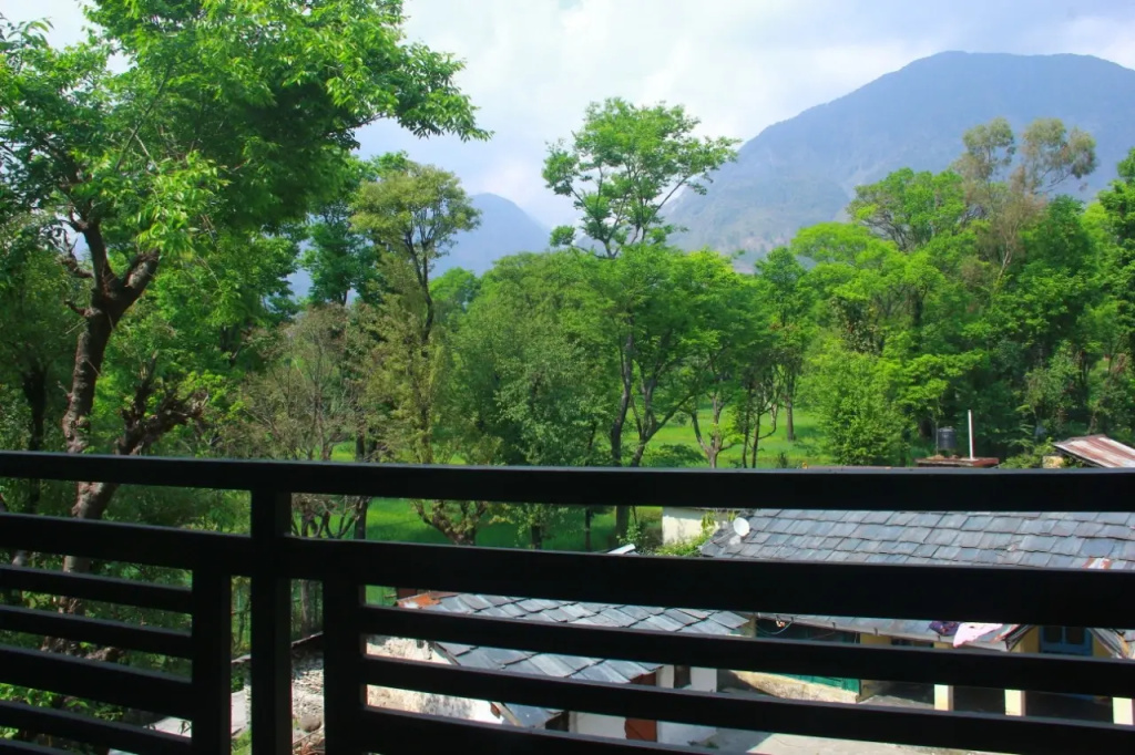 Hotel photo 45
