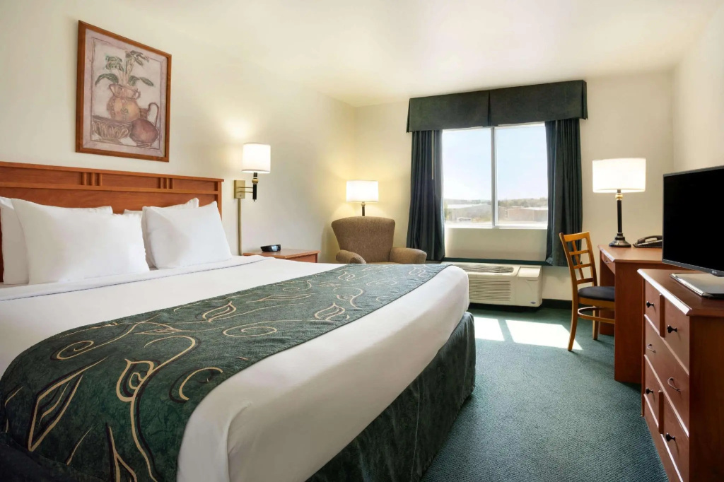 Deluxe Double room (full double bed)