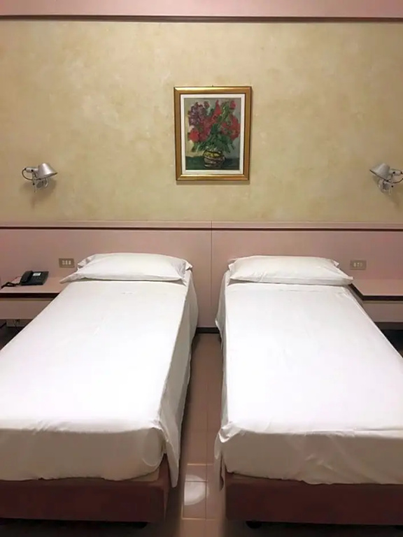 Standard Double room (twin beds)