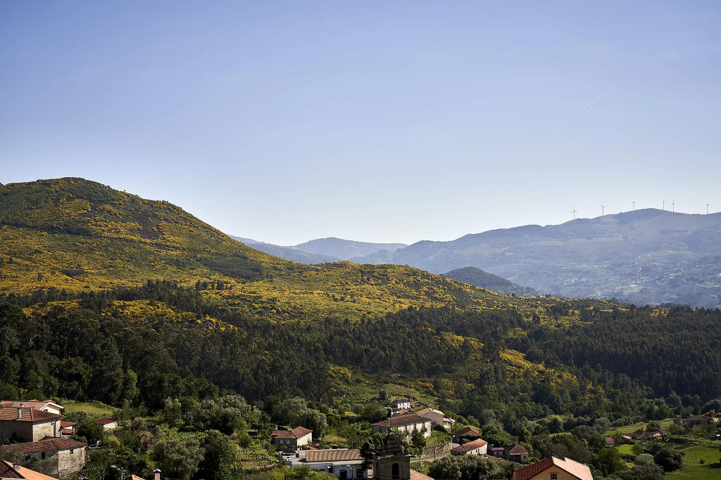 The Vinea Collection Hotel by Piamonte Hotels