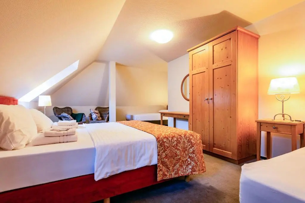 Apparthotel Steiger Bad Schandau - Général
