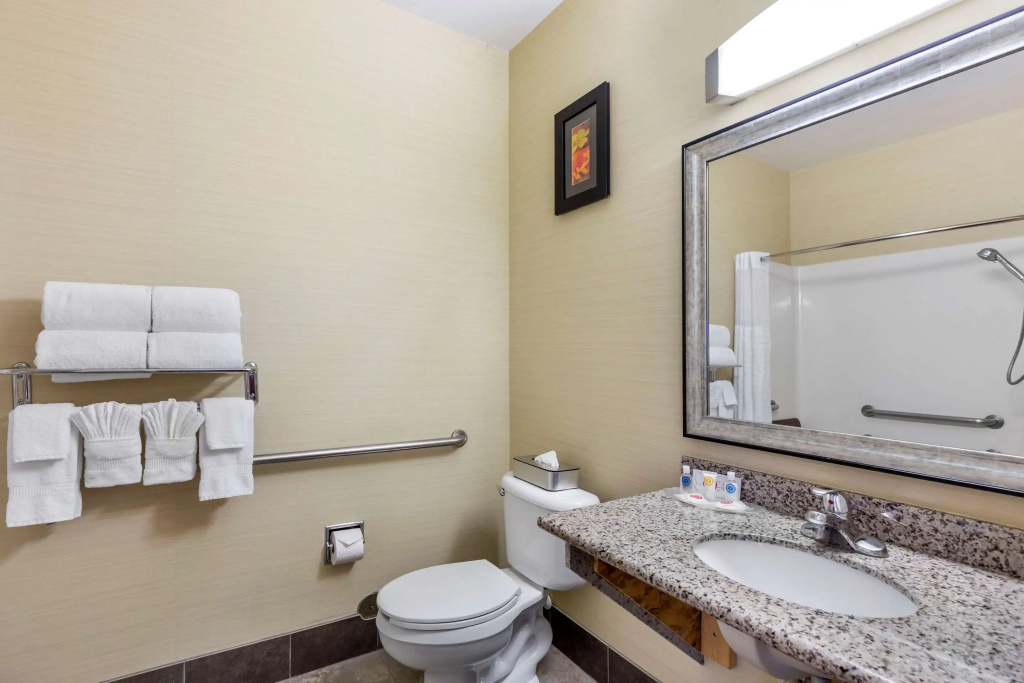 Comfort Suites Denver Tech Center - Général