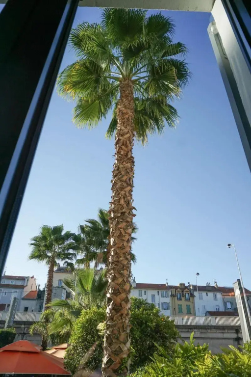 Hotel photo 41