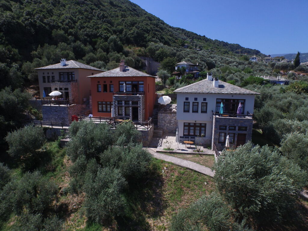 Palia damouchari by null