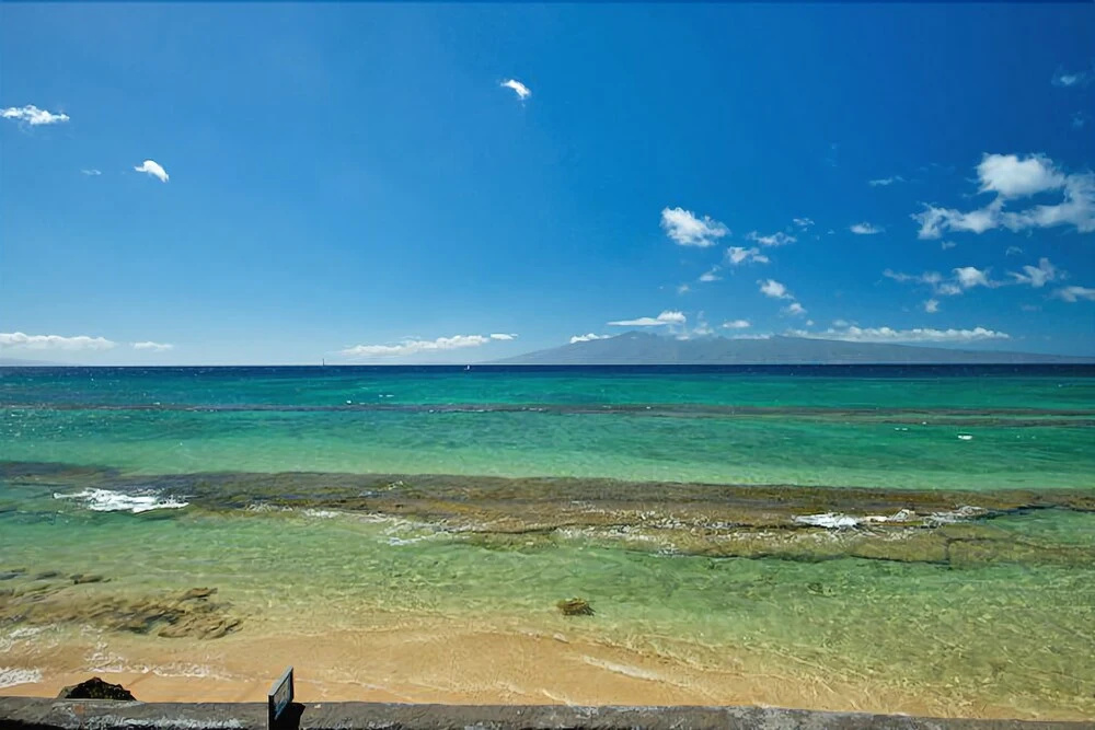 Beach & Waterfront