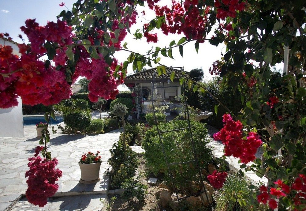Image 14