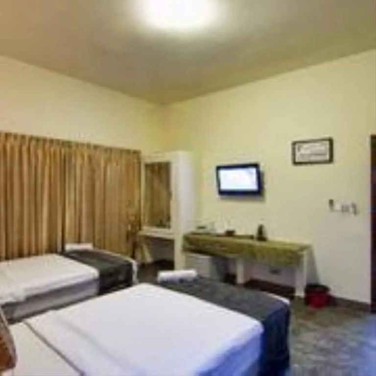 Deluxe Double room (twin beds)