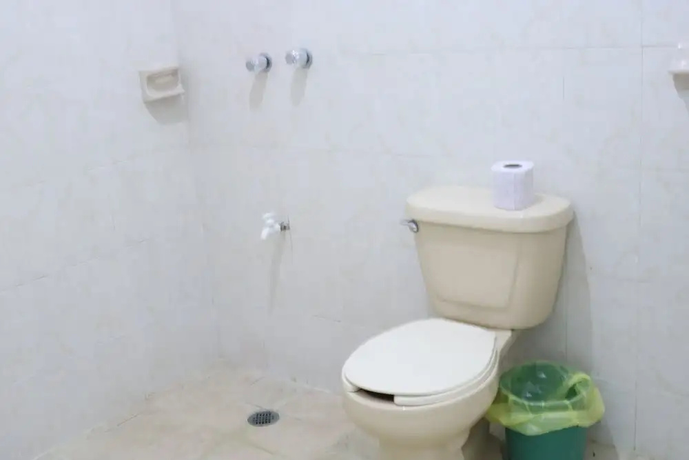 image url
