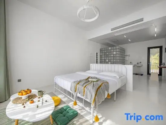 Standard Double room with mountain view (full double bed)