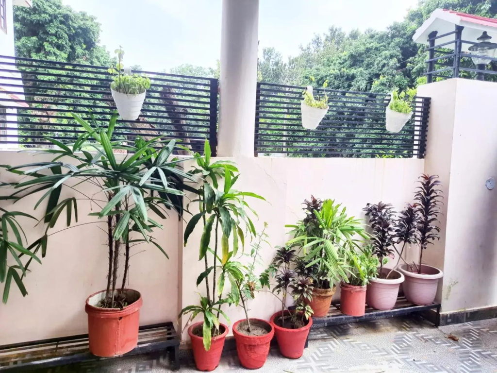 Nature View Homestay
