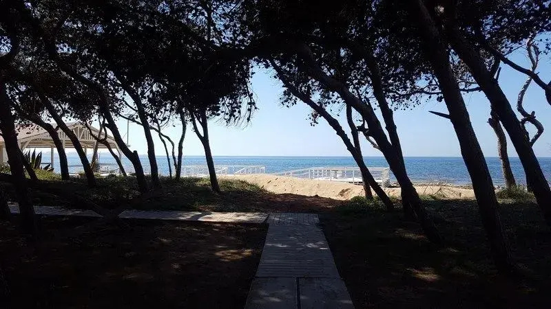 Beach & Waterfront