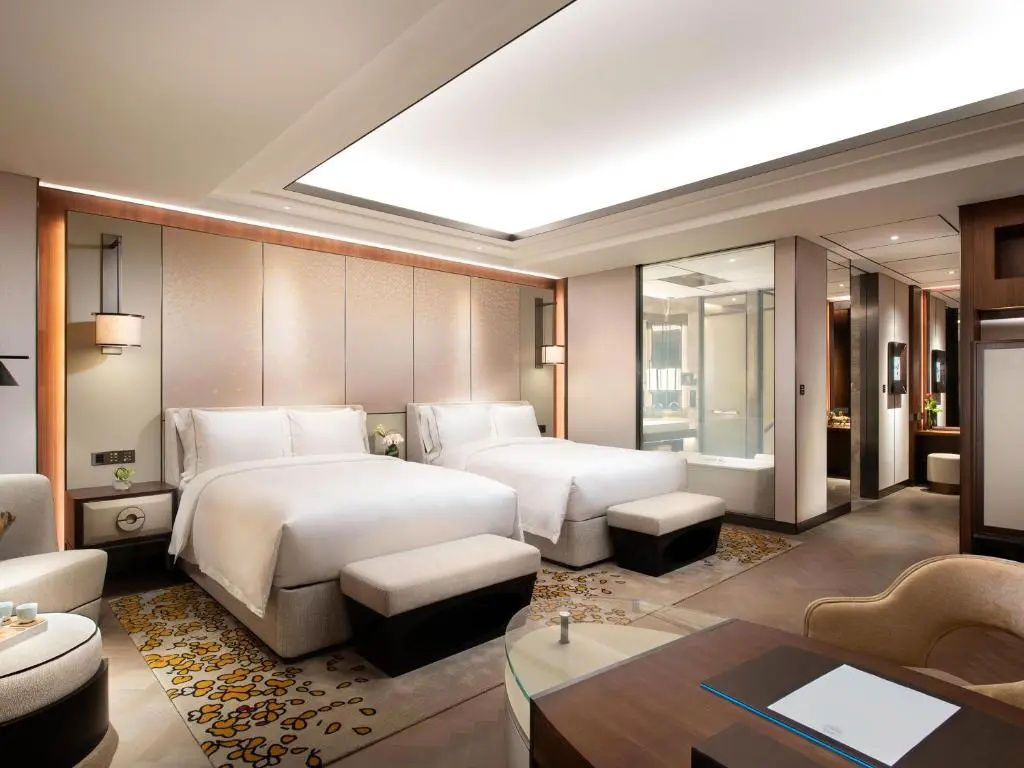Deluxe Double room with city view (twin beds)