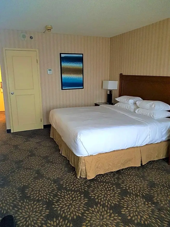 DoubleTree by Hilton Hotel London Ontario - Chambres